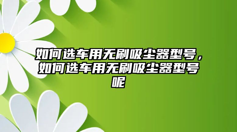 如何選車用無刷吸塵器型號(hào)，如何選車用無刷吸塵器型號(hào)呢