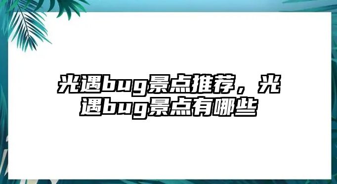 光遇bug景點推薦，光遇bug景點有哪些