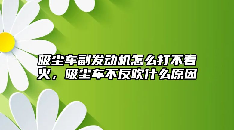 吸塵車副發(fā)動機(jī)怎么打不著火，吸塵車不反吹什么原因