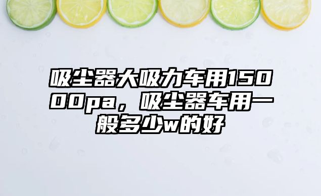 吸塵器大吸力車用15000pa，吸塵器車用一般多少w的好